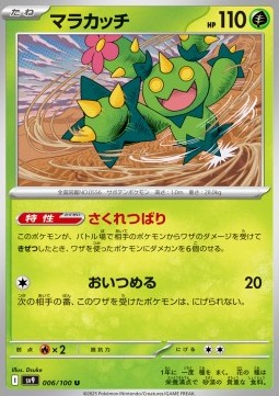 Maractus