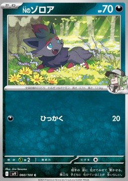 N's Zorua