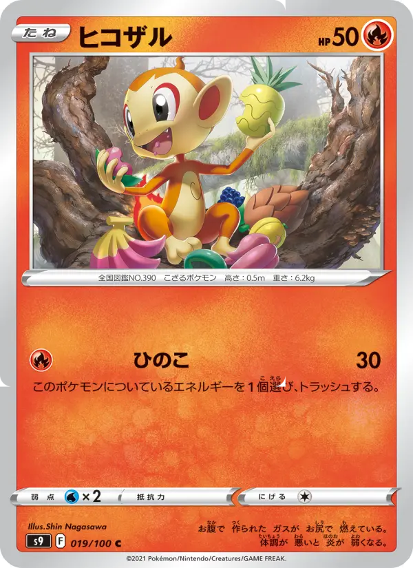 Chimchar