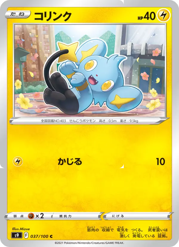 Shinx