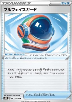 Full Face Guard