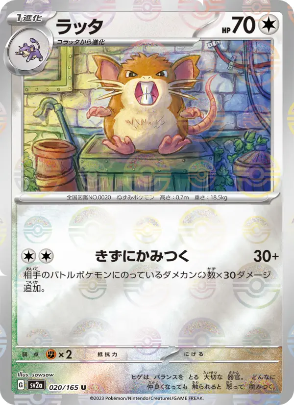 Raticate