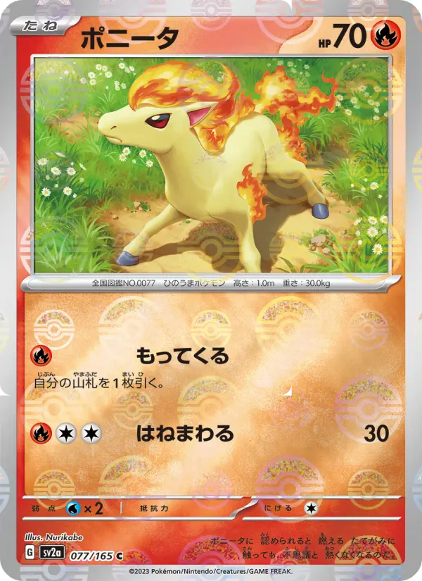 Ponyta
