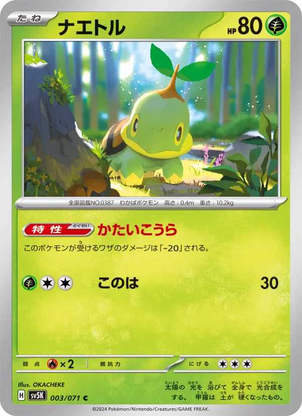 Turtwig