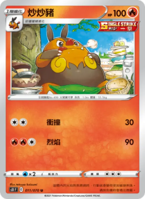 炒炒豬