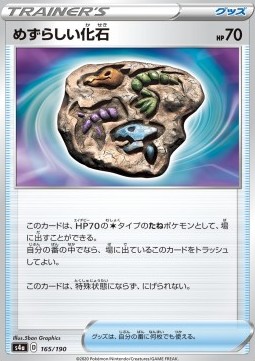Rare Fossil