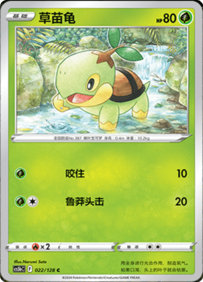 Turtwig