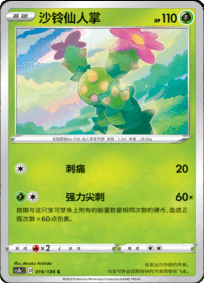 Maractus