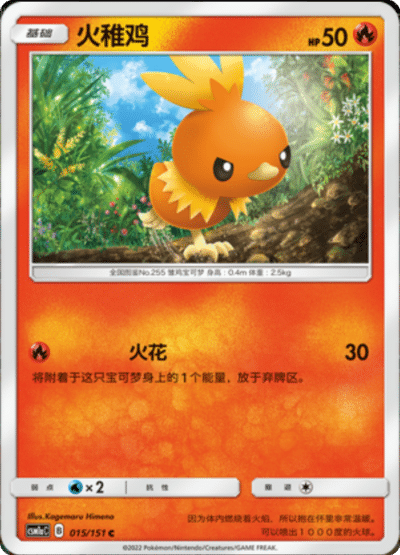 Torchic