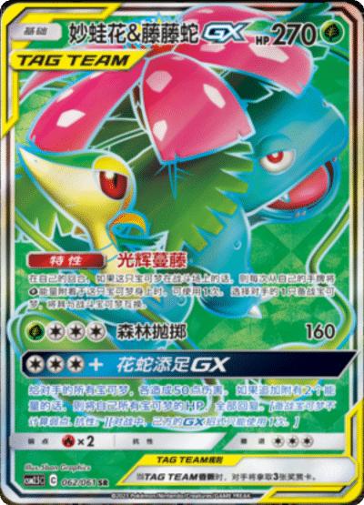 Venusaur & Snivy GX