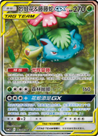 Venusaur & Snivy GX