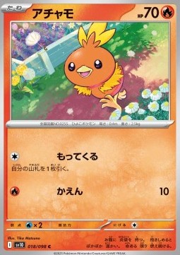 Torchic