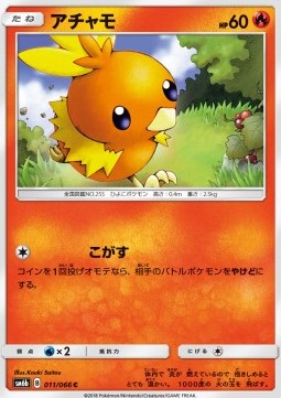 Torchic