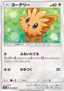 Lillipup