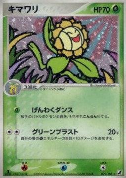 Sunflora