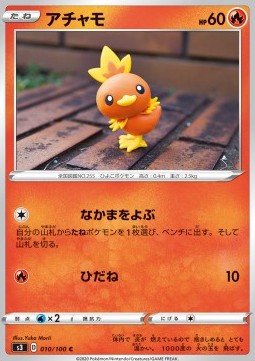 Torchic