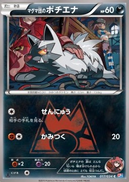 Team Magma's Poochyena