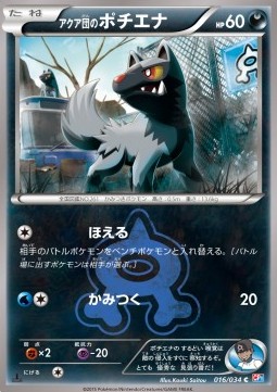 Team Aqua's Poochyena
