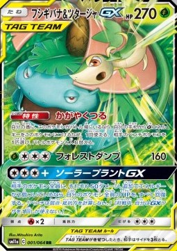 Venusaur & Snivy GX