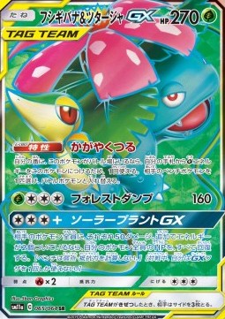 Venusaur & Snivy GX