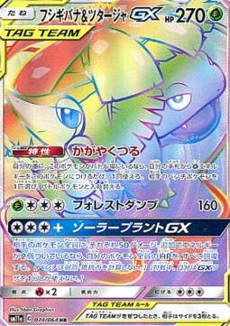 Venusaur & Snivy GX