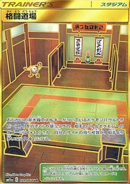 Martial Arts Dojo