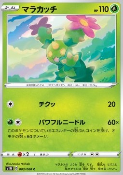 Maractus