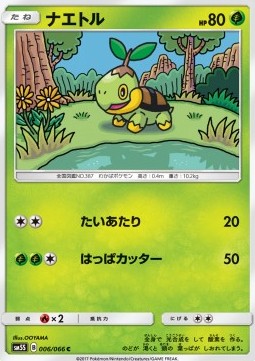 Turtwig