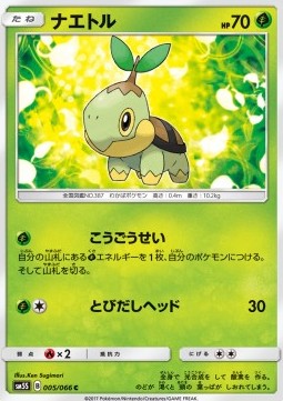 Turtwig