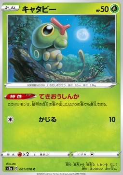 Caterpie