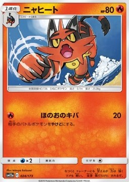 Torracat