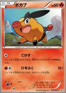 Tepig  (BW-P 019)