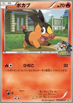Tepig  (BW-P 079)