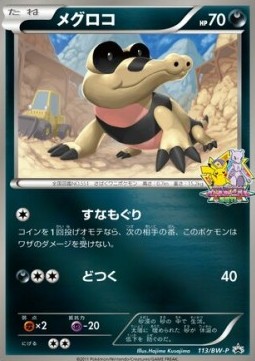 Sandile  (BW-P 113)
