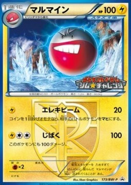Electrode  (BW-P 173)