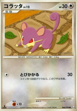 Rattata Lv.12