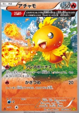 Torchic
