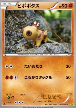 Hippopotas