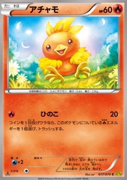 Torchic