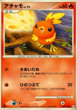 Torchic Lv.12