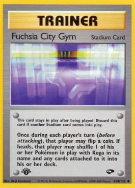 Fuchsia City Gym