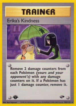 Erika's Kindness