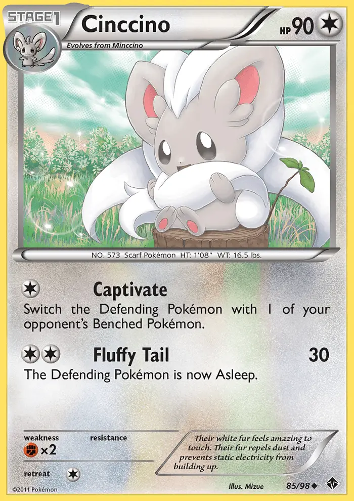 Cinccino
