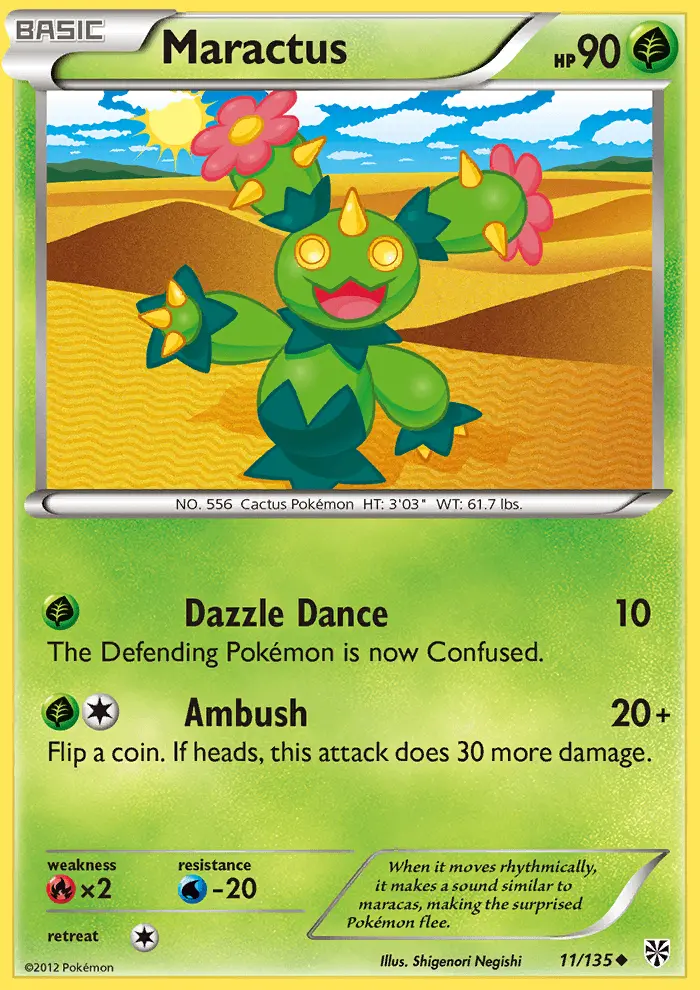 Maractus