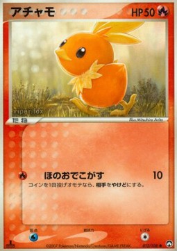Torchic