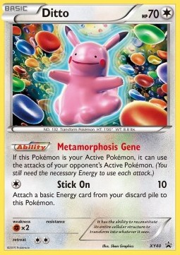 Ditto