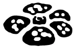 Jungle symbol
